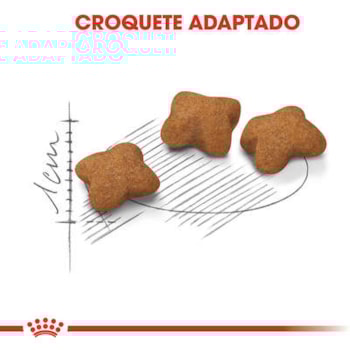 Royal Canin Gatos Filhotes Castrados - Royal Canin Royal Canin Gatos Filhotes Castrados - Royal Canin