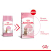 Royal Canin Gatos Filhotes Castrados - Royal Canin