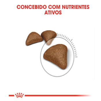 Royal Canin Gatos Hairball Care/Controle de Bolas de Pelo - Royal Canin Royal Canin Gatos Hairball Care/Controle de Bolas de Pelo - Royal Canin