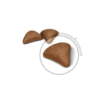 Royal Canin Gatos Hairball Care/Controle de Bolas de Pelo - Royal Canin Royal Canin Gatos Hairball Care/Controle de Bolas de Pelo - Royal Canin