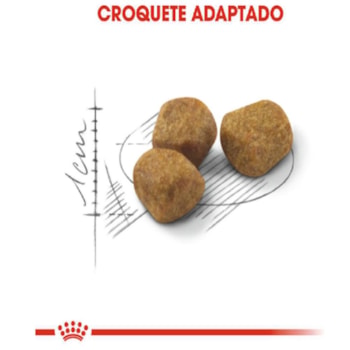 Royal Canin Gatos Indoor 7+ - Royal Canin Royal Canin Gatos Indoor 7+ - Royal Canin