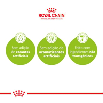 Royal Canin Gatos Kitten/Filhotes - Royal Canin Royal Canin Gatos Kitten/Filhotes - Royal Canin