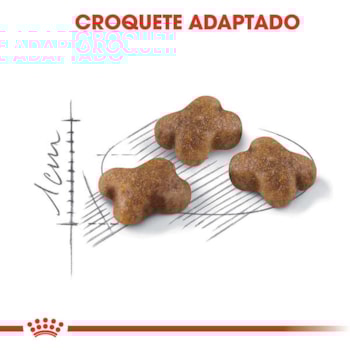 Royal Canin Gatos Kitten/Filhotes - Royal Canin Royal Canin Gatos Kitten/Filhotes - Royal Canin