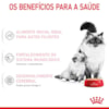 Royal Canin Gatos Mother BabyCat Lata 195g - Royal Canin