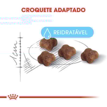 Royal Canin Gatos Mother Babycat - Royal Canin Royal Canin Gatos Mother Babycat - Royal Canin