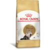 Royal Canin Gatos Persa Adulto - Royal Canin