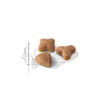 Royal Canin Gatos Sensible - Royal Canin Royal Canin Gatos Sensible - Royal Canin