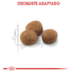 Royal Canin Gatos Sterelised/Castrados 7+ - Royal Canin