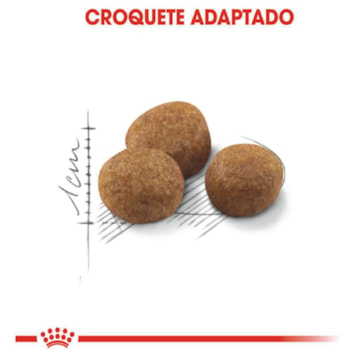 Royal Canin Gatos Sterelised/Castrados 7+ - Royal Canin
