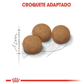 Royal Canin Gatos Sterilised/Castrados 12+ - Royal Canin Royal Canin Gatos Sterilised/Castrados 12+ - Royal Canin