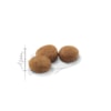 Royal Canin Gatos Sterilised/Castrados - Royal Canin