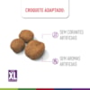 Royal Canin Giant Puppy para Cães Gigantes Filhotes de 2 a 8 Meses de Idade - 12 kg