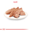 Royal Canin Lata Veterinary Diet Gastrointestinal Low Fat para Cães Adultos - 420 g