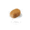 Royal Canin Maltês Puppy/Filhote 1kg - Royal Canin Royal Canin Maltês Puppy/Filhote 1kg - Royal Canin