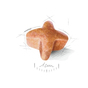 Royal Canin Pastor Alemão Adulto 12kg - Royal Canin Royal Canin Pastor Alemão Adulto 12kg - Royal Canin