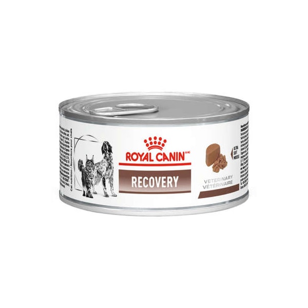Royal Canin Recovery Cães/Gatos 195g - Royal Canin Royal Canin Recovery Cães/Gatos 195g - Royal Canin