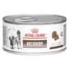 Royal Canin Recovery Cães/Gatos 195g - Royal Canin Royal Canin Recovery Cães/Gatos 195g - Royal Canin