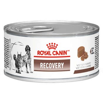 Royal Canin Recovery Cães/Gatos 195g - Royal Canin