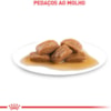 Royal Canin Sachê Veterinary Diet Renal para Gatos com Insuficiência Renal Sabor Frango - 85 g