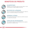 Royal Canin Veterinary Diet Anallergenic para Cães Adultos com Sensibilidades Alimentares 4 Kg