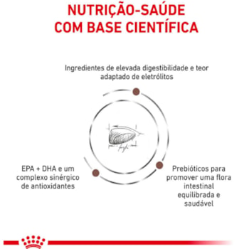 Royal Canin Veterinary Diet Gastrointestinal Gatos com Doenças Intestinais - 400 g