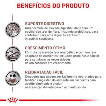 Royal Canin Veterinary Diet Gastrointestinal para Filhotes com Sensibilidades Gastrointestinais 2 Kg