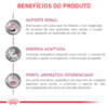 Royal Canin Veterinary Diet Renal Small Dog para Cães Pequenos com Insuficiência Renal Crônica