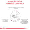 Royal Canin Veterinary Diet Renal Small Dog para Cães Pequenos com Insuficiência Renal Crônica