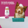 Shampoo e Condicionador 3 em 1 para Pelos Claros Neutrodor Petmais  - 700 ml