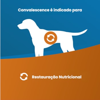 Vet Life Convalescence para Cães Adultos de Todas as Raças 300g Vet Life Convalescence para Cães Adultos de Todas as Raças 300g