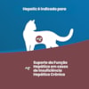 Vet Life Hepatic para Gatos Adultos de Todas as Raças 85g