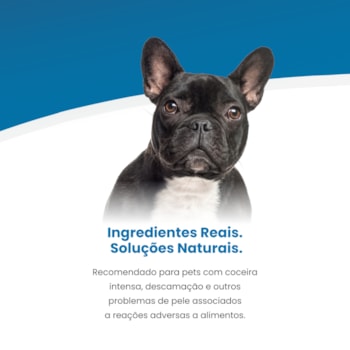 Vet Life Hypoallergenic Pork & Potato para Cães Adultos de Raças Mini e Pequenas 2Kg Vet Life Hypoallergenic Pork & Potato para Cães Adultos de Raças Mini e Pequenas 2Kg