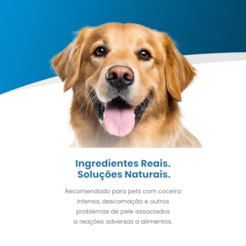 Vet Life Hypoallergenic Pork & Potato para Cães Adultos de Todas as Raças