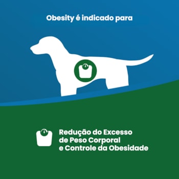 Vet Life Obesity para Cães Adultos de Todas as Raças 300g
